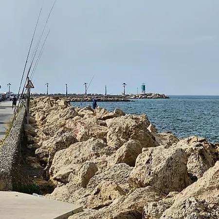 First Line Seaport Puerto Rico 9 Santa Pola